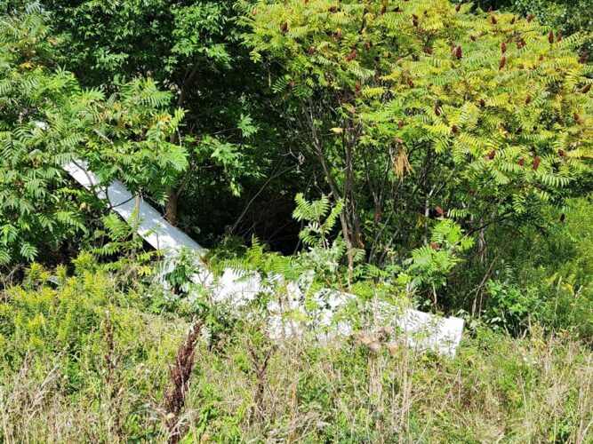 Pair escape serious injuries in glider crash News, Sports, Jobs